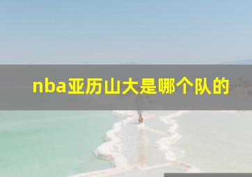 nba亚历山大是哪个队的