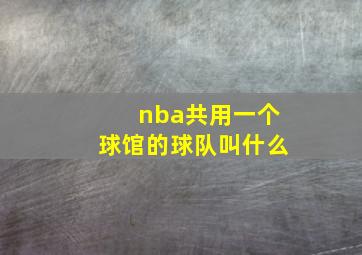 nba共用一个球馆的球队叫什么