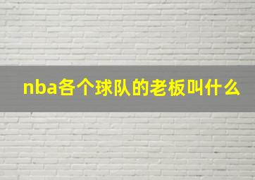 nba各个球队的老板叫什么