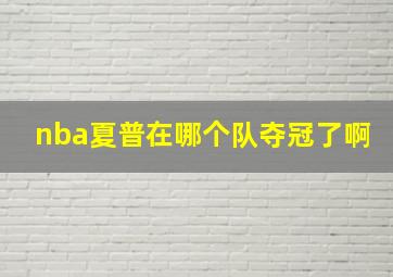 nba夏普在哪个队夺冠了啊