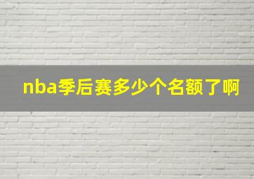 nba季后赛多少个名额了啊