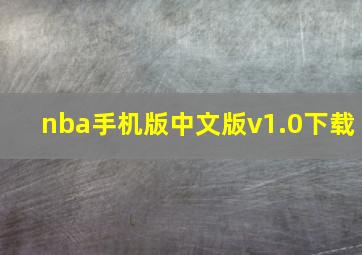 nba手机版中文版v1.0下载