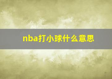 nba打小球什么意思