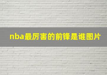 nba最厉害的前锋是谁图片