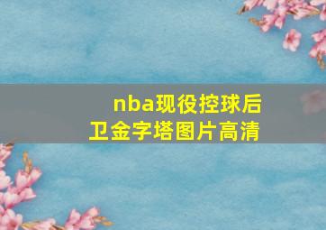 nba现役控球后卫金字塔图片高清