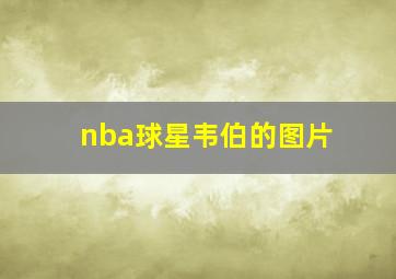 nba球星韦伯的图片