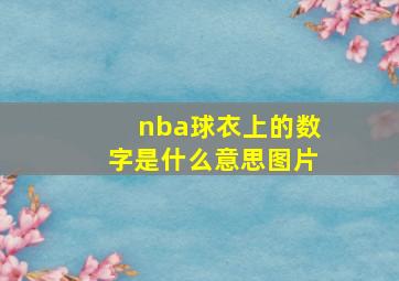 nba球衣上的数字是什么意思图片