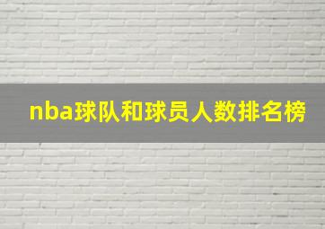 nba球队和球员人数排名榜