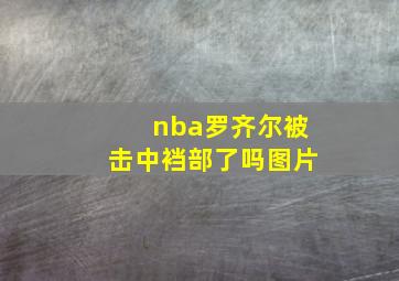 nba罗齐尔被击中裆部了吗图片