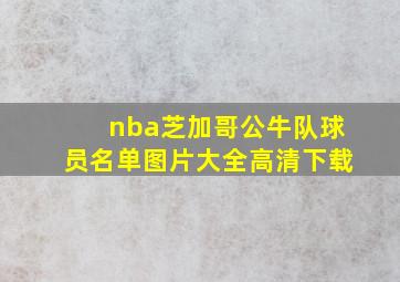 nba芝加哥公牛队球员名单图片大全高清下载