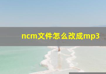 ncm文件怎么改成mp3