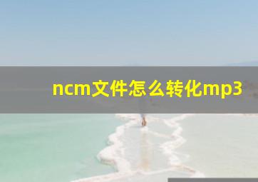 ncm文件怎么转化mp3