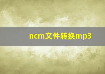 ncm文件转换mp3