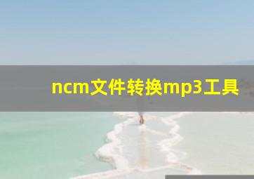 ncm文件转换mp3工具