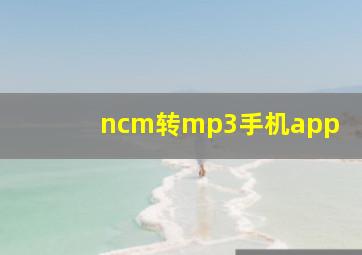 ncm转mp3手机app