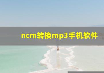 ncm转换mp3手机软件