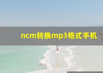 ncm转换mp3格式手机