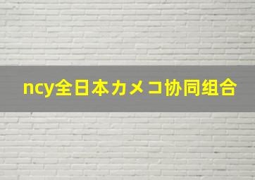 ncy全日本カメコ协同组合