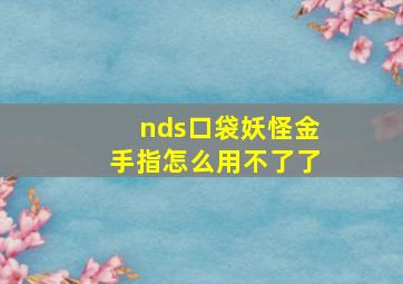 nds口袋妖怪金手指怎么用不了了