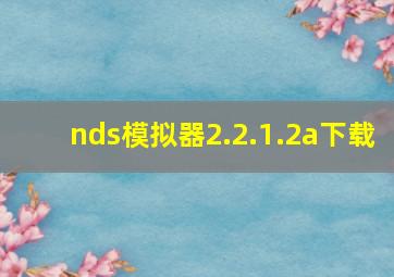 nds模拟器2.2.1.2a下载