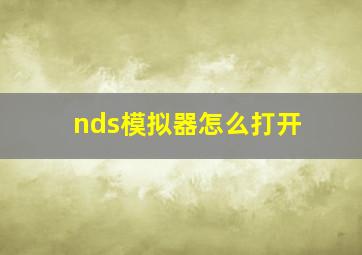 nds模拟器怎么打开