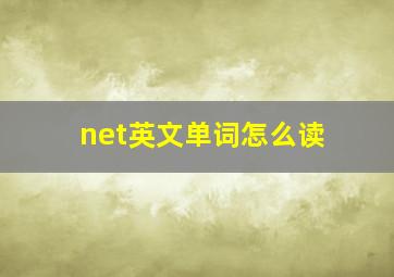 net英文单词怎么读