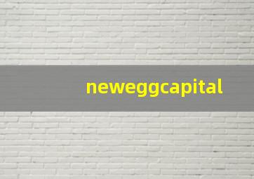 neweggcapital