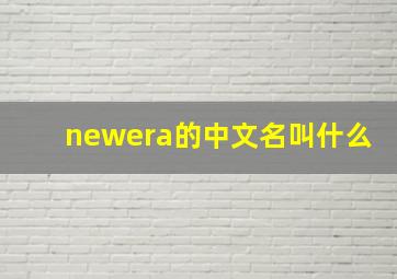 newera的中文名叫什么