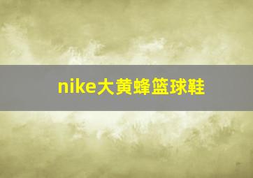 nike大黄蜂篮球鞋