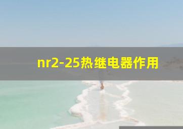 nr2-25热继电器作用