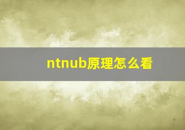 ntnub原理怎么看