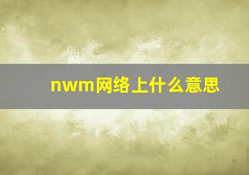 nwm网络上什么意思