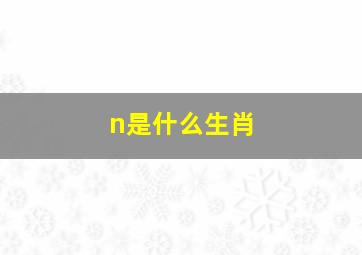 n是什么生肖