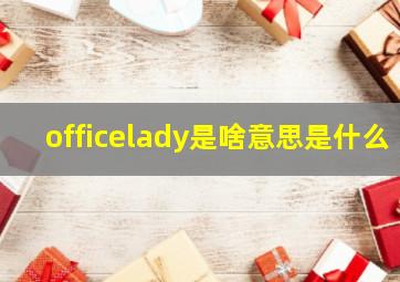 officelady是啥意思是什么