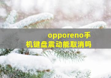 opporeno手机键盘震动能取消吗