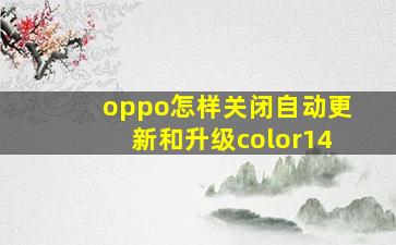 oppo怎样关闭自动更新和升级color14