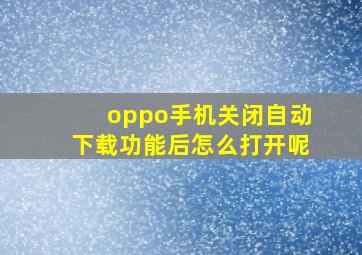 oppo手机关闭自动下载功能后怎么打开呢