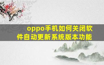 oppo手机如何关闭软件自动更新系统版本功能