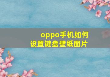 oppo手机如何设置键盘壁纸图片