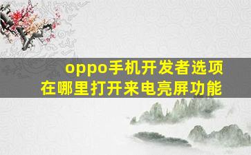 oppo手机开发者选项在哪里打开来电亮屏功能