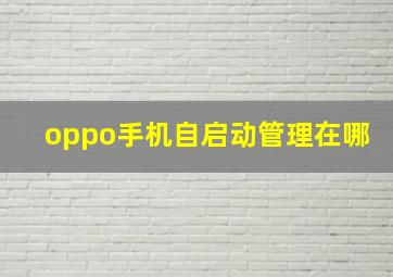 oppo手机自启动管理在哪