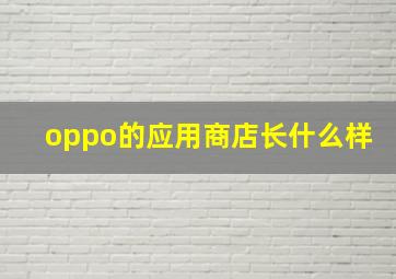 oppo的应用商店长什么样