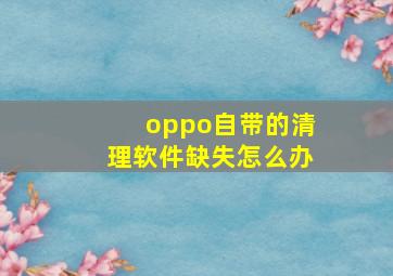 oppo自带的清理软件缺失怎么办