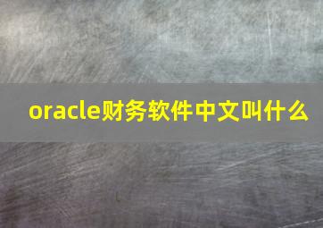 oracle财务软件中文叫什么