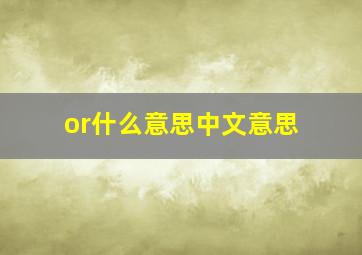 or什么意思中文意思