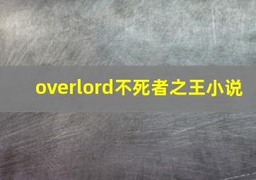 overlord不死者之王小说