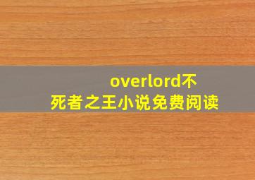 overlord不死者之王小说免费阅读