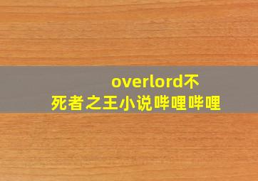 overlord不死者之王小说哔哩哔哩