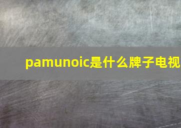 pamunoic是什么牌子电视