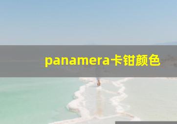 panamera卡钳颜色